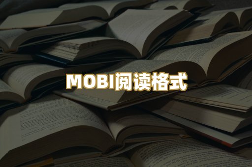 MOBI阅读格式